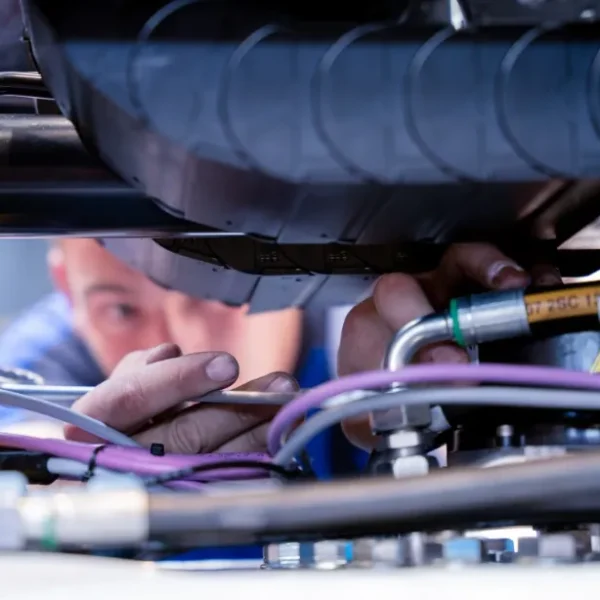 Hyrax - vakmensen aan het werk